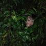 Max Cooley Photo 12