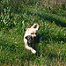 Cindy Tittle Photo 15