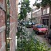 Frederick Holland Photo 12