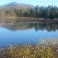 Linda Dunlap Photo 38