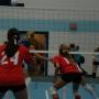 Colleen Meyers Photo 24