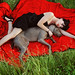 Ana Duran Photo 9