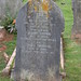 Albert George Photo 20