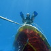 Suzanne Farnsworth Photo 14