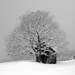 Richard Bernard Photo 23