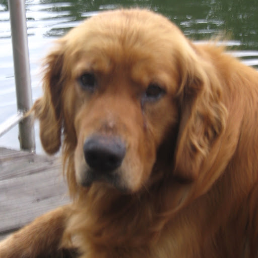 Allison Chapman Photo 19