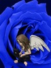 Jenifer Mills Photo 12