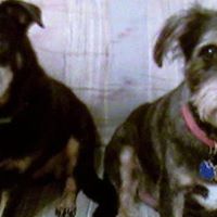 Anita Burks Photo 14