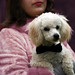 Amy He Photo 34