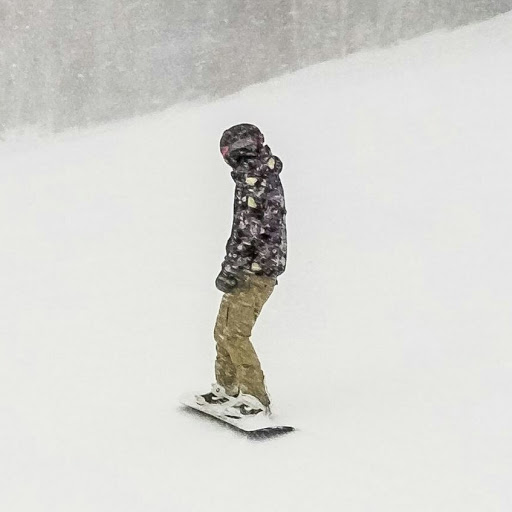 Patrick Cole Photo 17