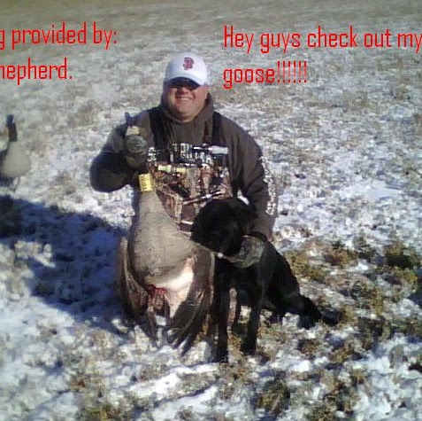 Joel Shepherd Photo 35