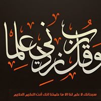 Hassan Saqr Photo 6