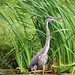 Roger Herron Photo 23