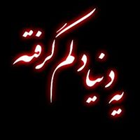 Omid Zamani Photo 17