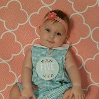 Colleen Rodgers Photo 12