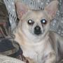 Jane Simpson Photo 23
