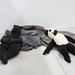 Matthew Magers Photo 12