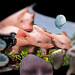 Mark Grise Photo 15