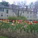 Clara Tuttle Photo 9