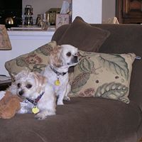Mary Groff Photo 12