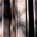Larry Park Photo 7