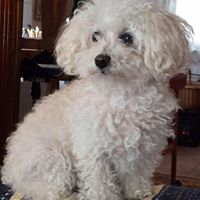 Dianne Parker Photo 43