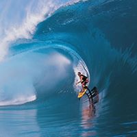 Michael Gunning Photo 10