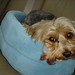 Annie May Photo 25