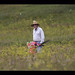 Bob Logsdon Photo 16