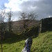Casey Fields Photo 15