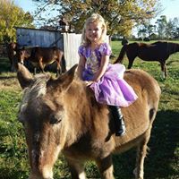 Crystal Stringer Photo 6