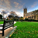 Chelsea Havens Photo 11
