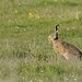 Nan Brown Photo 18