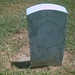 John Mccarty Photo 16