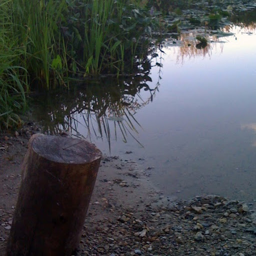Brenda Stevens Photo 23