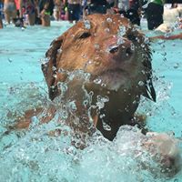 Beth Locke Photo 6