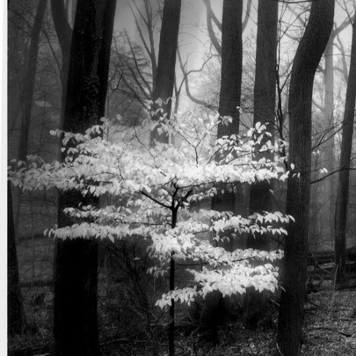 Lynne Taylor Photo 26