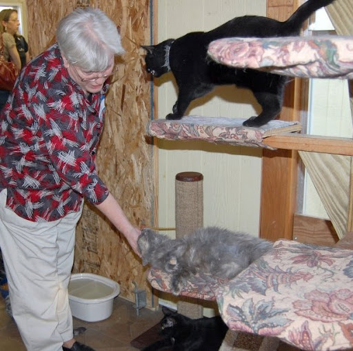 Brenda Carson Photo 5