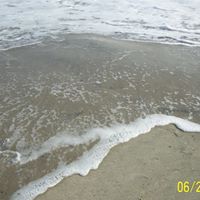 Dinah Rowe Photo 2