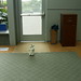 Amy Krull Photo 7