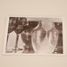 Susan Elkins Photo 15