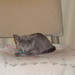 Meg Young Photo 28