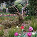 Deborah Walsh Photo 27