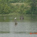 Teresa Mullett Photo 11