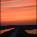 Steven Forsythe Photo 26