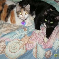 Debra Robertson Photo 25