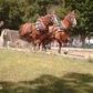Richard Kelso Photo 14