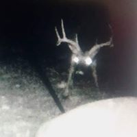 Eric Foster Photo 49