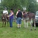 Deb Sutton Photo 37