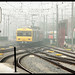 Do Vu Photo 24